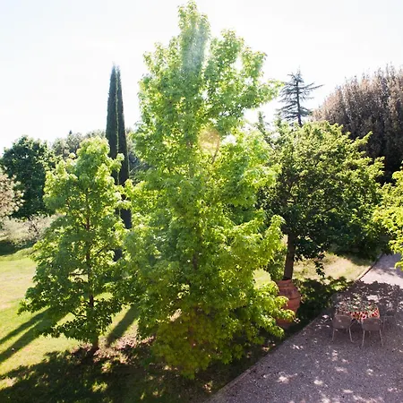La Morina Cortona